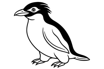 Obraz premium Minimalist Rockhopper