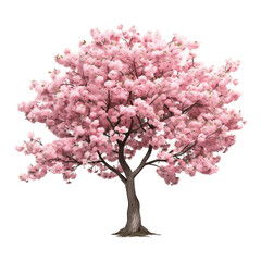 Obraz premium Cherry Blossom Tree in Bloom: A beautiful cherry blossom tree in full bloom, its branches laden with delicate pink flowers, offering a sense of spring's arrival.