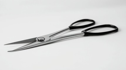 Obraz premium A pair of stainless steel scissors with black handles on white.