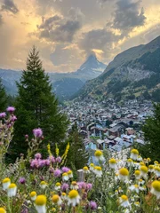 Fototapete Mountain landscape with flowers © PawelStepaniuk