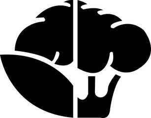 Cauliflower. Icon with reflection on white, food, vegetable