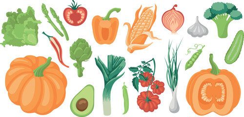 Juicy bright vegetables. A large set of vector images in the flat style.