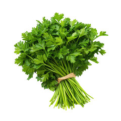 Fresh parsley bunch with vibrant green leaves isolated on transparent background