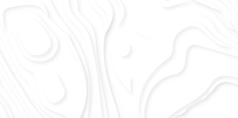 White paper cut decoration textured with wavy layers 3d topography relief background. minimal topography map light element shadow landscape wave element curve graphic papercut design.
