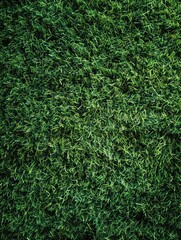 Deep green artificial grass provides a flawless, smooth surface illuminated by soft moody lighting for rich saturation