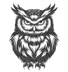 Fototapeta premium Owl Illustration with Risograph Overprint and Retro Texture
