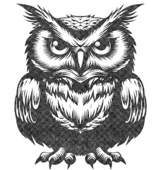 Owl Illustration with Risograph Overprint and Retro Texture
