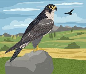 Decorative illustration of falcon in nature. Vector design element