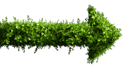 An arrow icon made of green leaves, isolated on transparent background, png