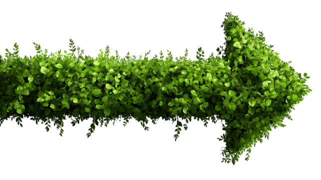 An arrow icon made of green leaves, isolated on transparent background, png