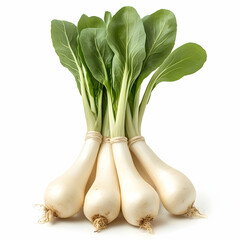 Fresh Bok Choy Harvest