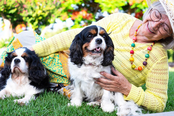 Relaxed senior smiling woman with hat sitting in the park with two cavalier king charles spaniel...