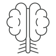 Obraz premium Brain thin line icon, clinical research concept. Vector graphics. Human brain organ sign on white background, outline style icon for mobile or web design.