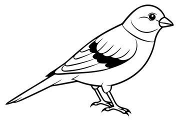 canary line art silhouette vector illustration