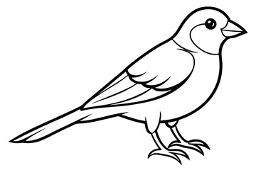 canary line art silhouette vector illustration
