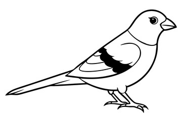 canary line art silhouette vector illustration