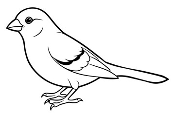 canary line art silhouette vector illustration
