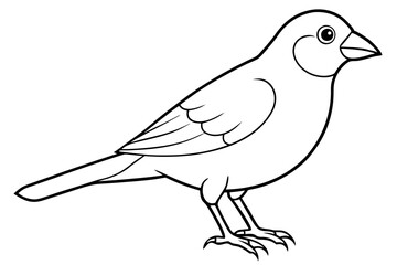canary line art silhouette vector illustration