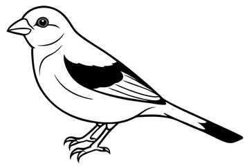 canary line art silhouette vector illustration