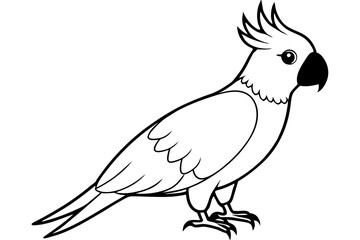 cockatoo line art silhouette vector illustration