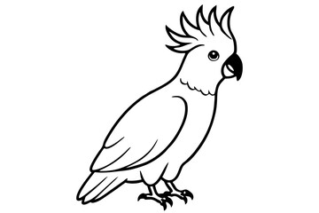 cockatoo line art silhouette vector illustration