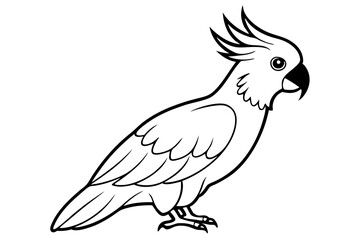 cockatoo line art silhouette vector illustration