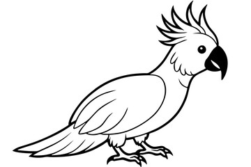 cockatoo line art silhouette vector illustration