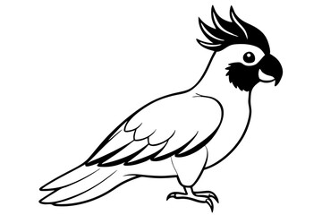 cockatoo line art silhouette vector illustration