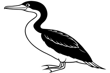 cormorant line art silhouette vector illustration