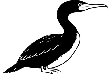 cormorant line art silhouette vector illustration