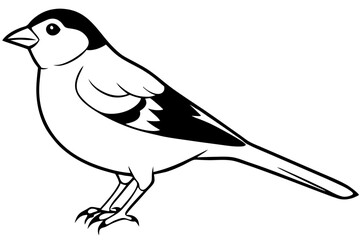 finch line art silhouette vector illustration