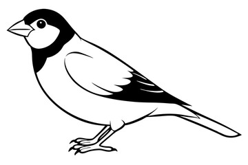 finch line art silhouette vector illustration