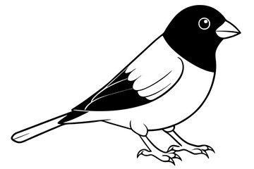 finch line art silhouette vector illustration