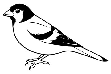 finch line art silhouette vector illustration