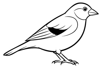 finch line art silhouette vector illustration