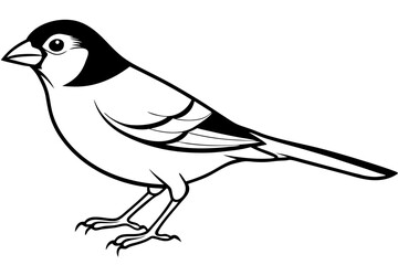 finch line art silhouette vector illustration