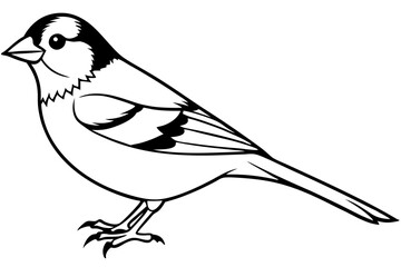 finch line art silhouette vector illustration