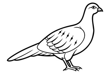 grouse line art silhouette vector illustration