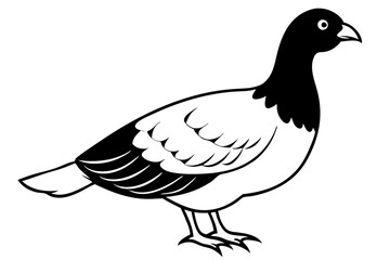 grouse line art silhouette vector illustration
