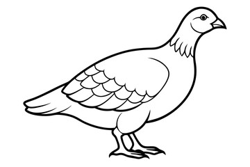 grouse line art silhouette vector illustration