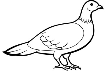grouse line art silhouette vector illustration