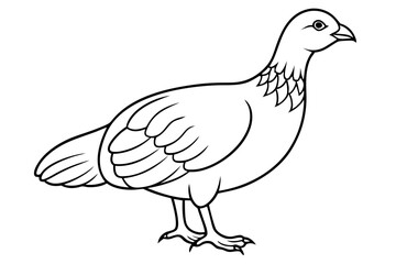 grouse line art silhouette vector illustration