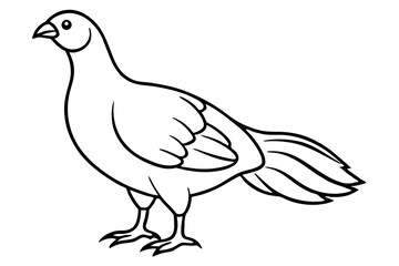 grouse line art silhouette vector illustration