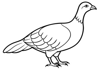grouse line art silhouette vector illustration