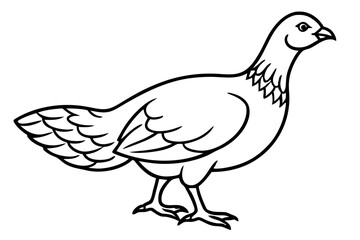 grouse line art silhouette vector illustration