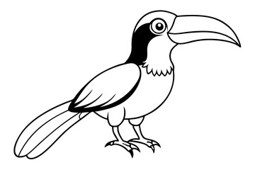 hornbill line art silhouette vector illustration
