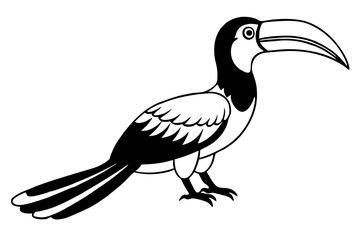 hornbill line art silhouette vector illustration