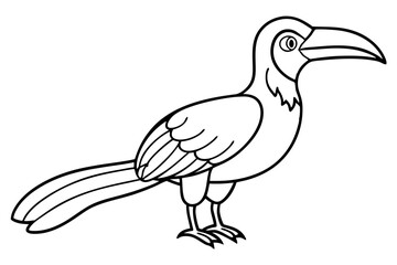 hornbill line art silhouette vector illustration