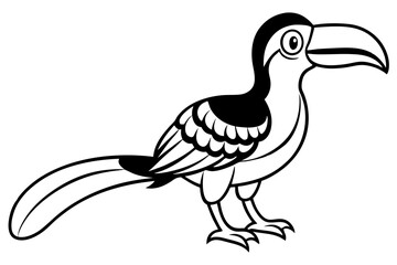 hornbill line art silhouette vector illustration