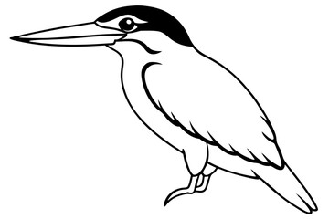 kingfisher line art silhouette vector illustration